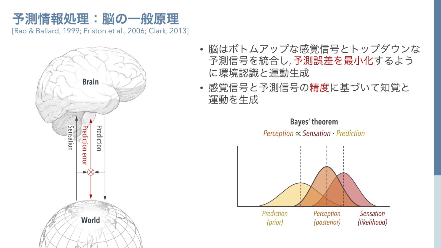 予測情報処理：脳の一般原理（長井先生提供）