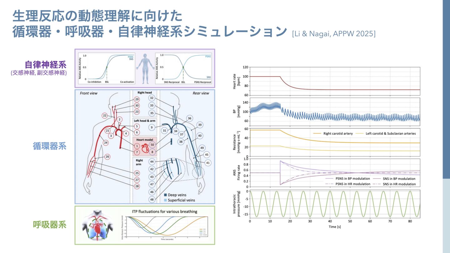 生理反応の動態理解に向けた循環器・呼吸器・自律神経系シミュレーション